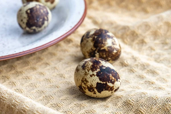 Small Quail Eggs Cloth Eco Product — Stock Photo, Image