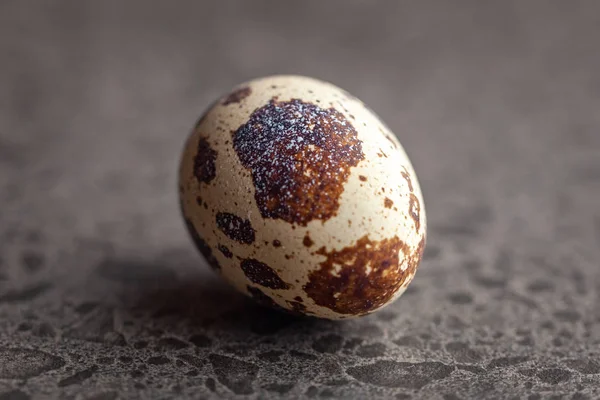 石の背景に小さなウズラの卵 — ストック写真