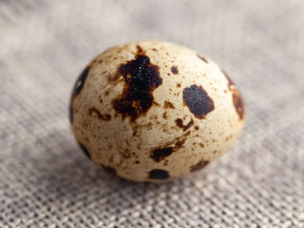 Pequeños huevos de codorniz en el saco de tela — Foto de Stock
