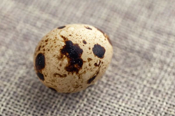 Small quail eggs on the cloth sack — Stock Photo, Image