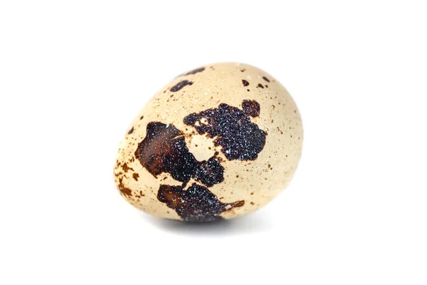 Quail egg isolated on white background. close up — Stock Photo, Image