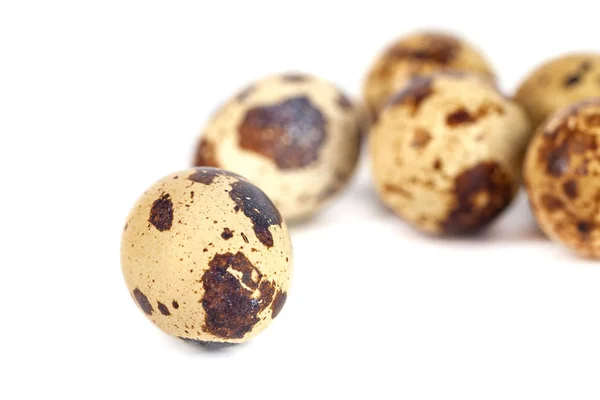 Huevos de codorniz aislados sobre fondo blanco. de cerca — Foto de Stock