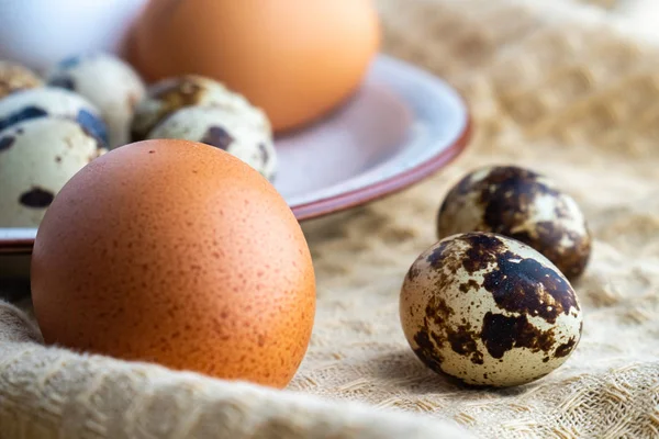 Перепелиные и куриные яйца на тарелке, экологический продукт — стоковое фото