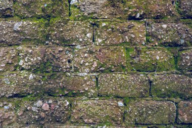 Yosun ve bitki ile çok eski tuğla duvar, duvar dokusu 