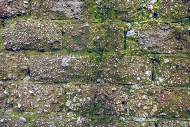 Yosun ve bitki ile çok eski tuğla duvar, duvar dokusu 