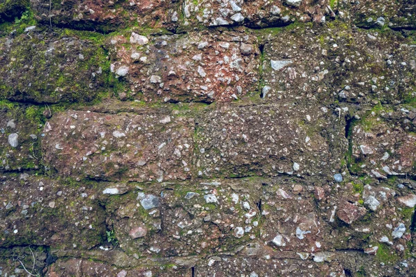 Sehr alte Ziegelmauer mit Moos und Pflanzen, Wandstruktur — Stockfoto