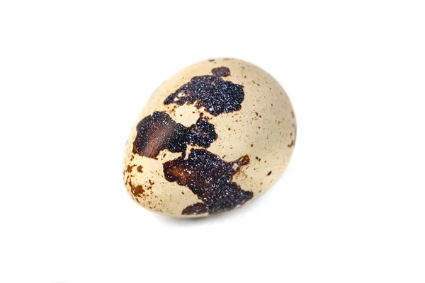 Huevo de codorniz aislado sobre fondo blanco. de cerca —  Fotos de Stock