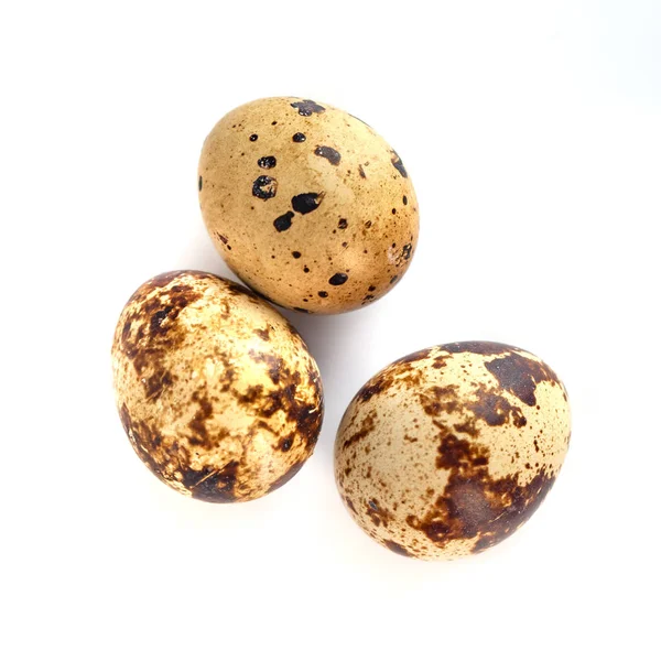 Ovos de codorniz isolados sobre fundo branco. de perto — Fotografia de Stock