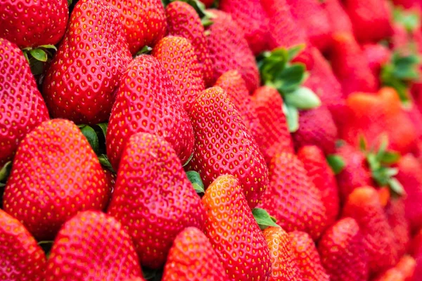 Красная клубника рисунок на рынке, свежая клубника текстура , — стоковое фото