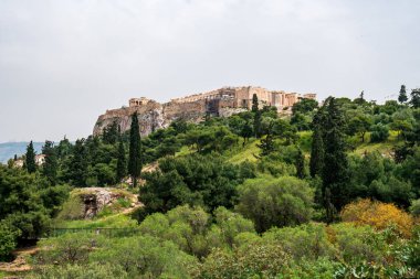 Atina, Yunanistan 'daki Akropolis' teki Parthenon tapınağı
