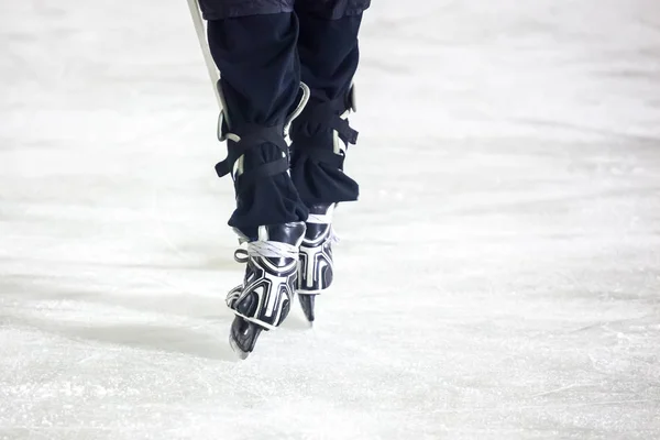 Legs during the men Ice Hockey match, sport — Stock Photo, Image