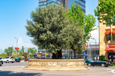 Tiflis, Gürcistan - 08.05.2019: Rustaveli Caddesi'nde zeytin ağacı. 