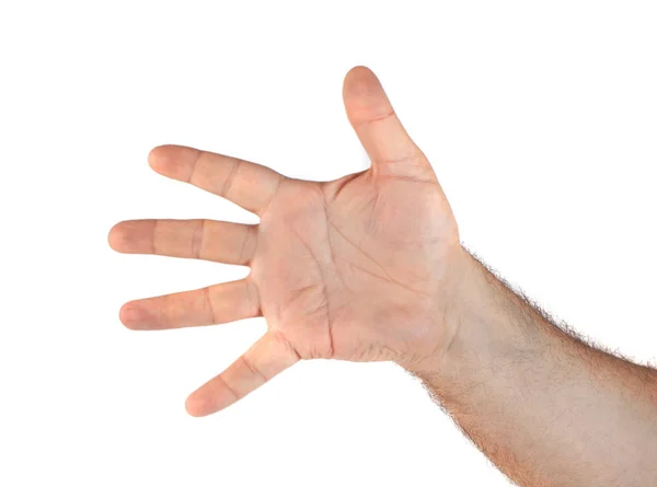 Изображение руки, показывающее пять пальцев на белом фоне — стоковое фото