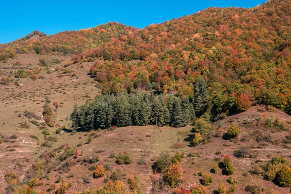 Όμορφο φθινοπωρινό τοπίο στο φαράγγι του Νταργιάλ, φθινοπωρινά χρώματα — Φωτογραφία Αρχείου