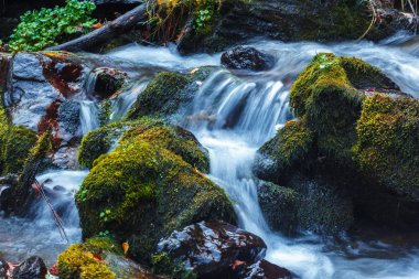 Sonbaharda Dariali geçit doğal şelale görünümü, Gveleti waterf