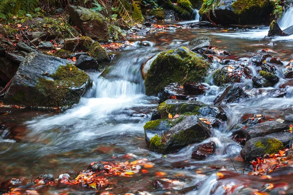 Vista panoramica cascata nella gola di Dariali in autunno, Gveleti waterf — Foto Stock