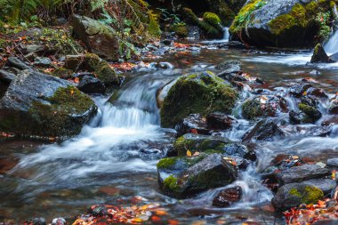 Sonbaharda Dariali geçit doğal şelale görünümü, Gveleti waterf