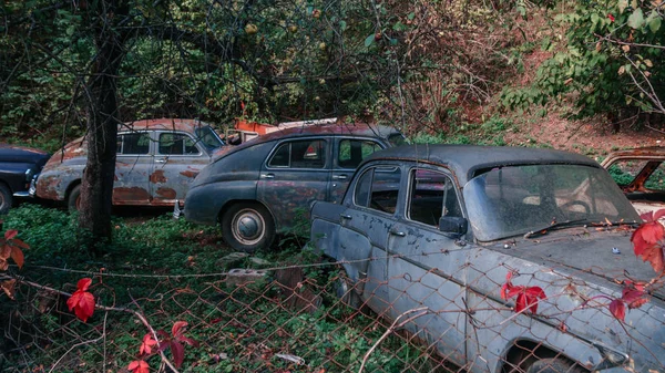 Pasanauri, Gruzja-06.10.2018: stary zardzewiałe na zewnątrz złom retro samochody — Zdjęcie stockowe