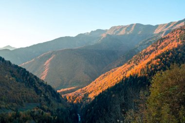 sonbaharda Svaneti dağlarında renkli ağaçlar. Beautifu