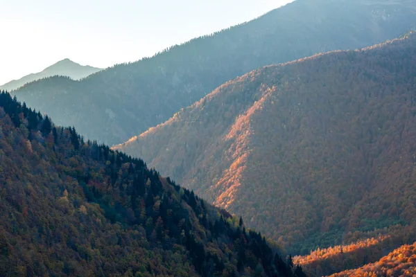 秋にスヴァネティの山々のカラフルな木々。ボーティフ — ストック写真