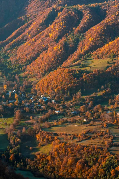 Красочные деревья в горах Сванети осенью. Мбаппе — стоковое фото