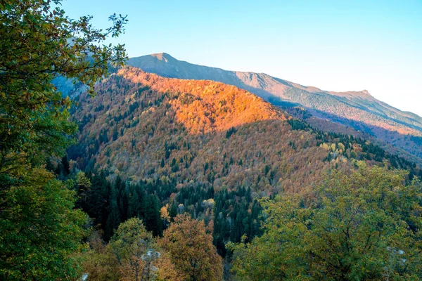 Kolorowe drzewa w górach Svaneti jesienią. Красав — Zdjęcie stockowe