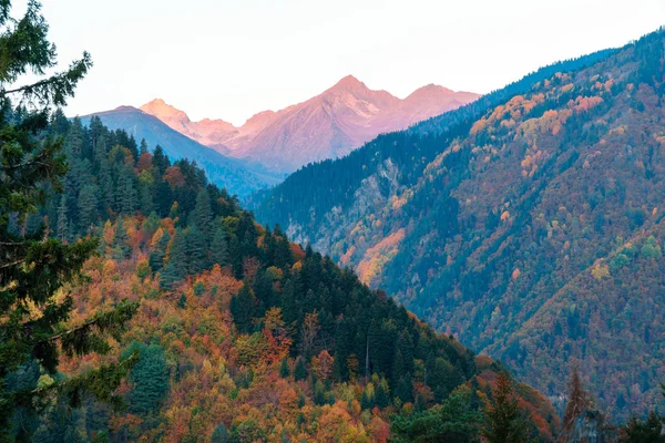 Arbres colorés dans les montagnes de Svaneti à l'automne. Beautifu — Photo