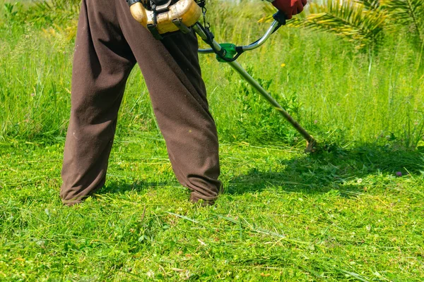 Der Gärtner mäht Gras per Rasenmäher, Rasenpflege — Stockfoto