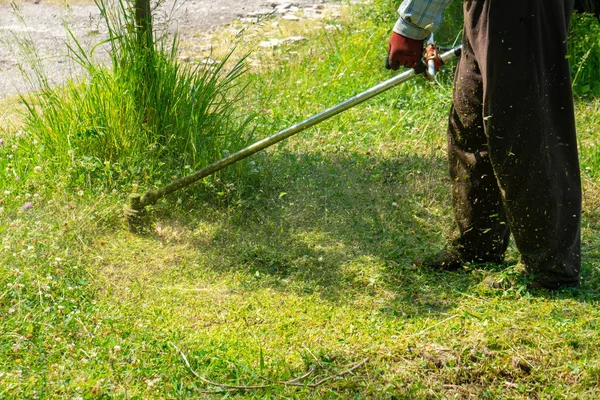 O jardineiro cortar grama por cortador de grama, cuidado do gramado — Fotografia de Stock