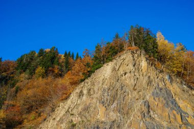 sonbaharda Svaneti dağlarında renkli ağaçlar. Beautifu