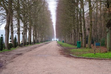 Kışın Versailles bahçesinde ağaçların yol hattı ile Alley. 