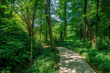 Tvermaghala p arka planda ışık ile güzel yeşil tünel