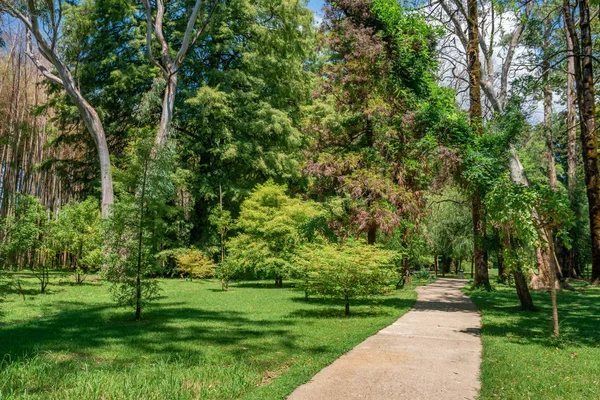 Guria'daki Tsvermaghala Parkı. Gürcistan'a Seyahat.