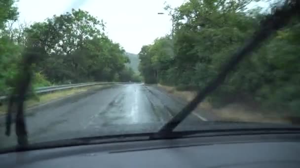 在雨中开车在湿滑的路面上 多雨的天气 透过车窗 — 图库视频影像