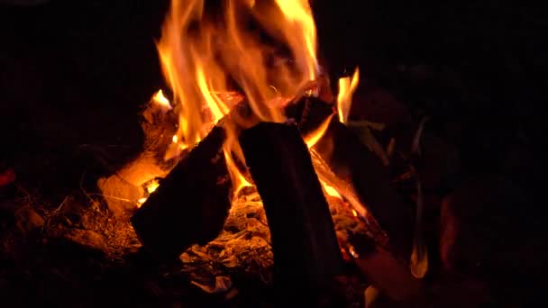 Feu Ardent Feu Joie Gros Plan Flammes Brûlant Sur Fond — Video