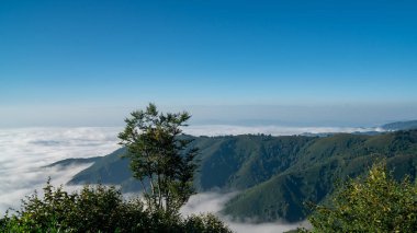 Kintrishi ve Resort Gomismta Güzel Koruma alanı. Amazi