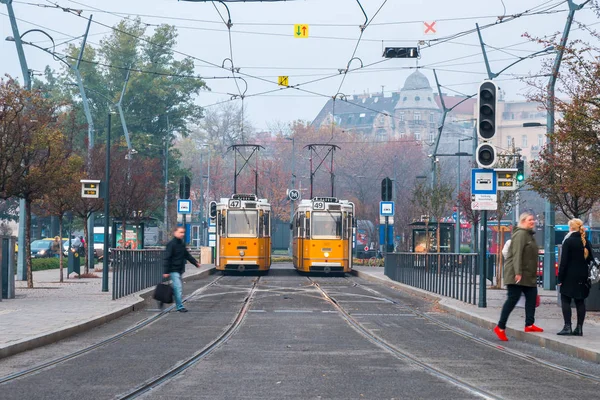 Будапешт, Венгрия - 11.12.2018: Желтые трамваи старого стиля в ми — стоковое фото