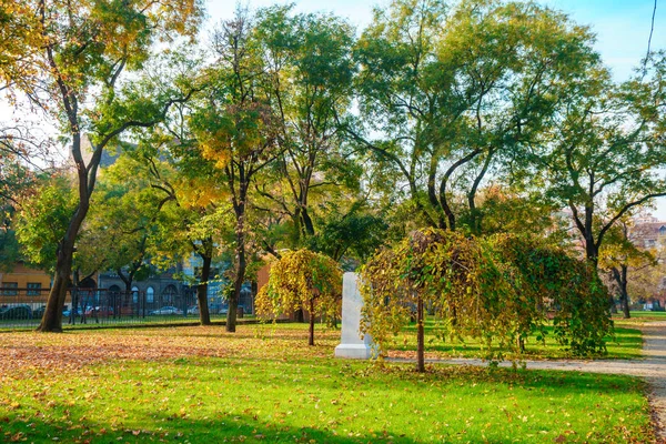 Yellow leaves fallen on fresh green grass in park in Budapest, H — Stock Photo, Image