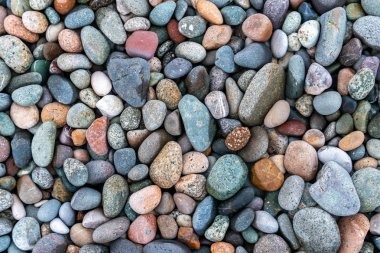 Yuvarlak ve cilalı sahil kayalıklarına yakın..