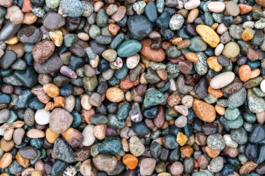 Yuvarlak ve cilalı sahil kayalıklarına yakın..