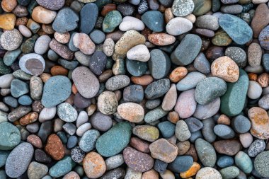 Yuvarlak ve cilalı sahil kayalıklarına yakın..