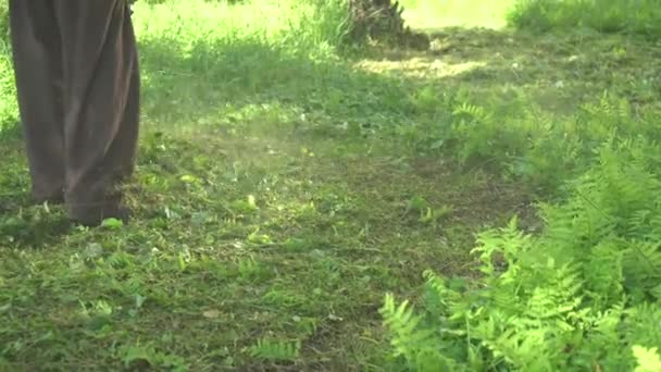 Jardineiro Cortar Grama Por Cortador Grama Cuidado Gramado Natureza — Vídeo de Stock