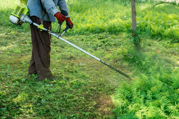 O jardineiro cortar grama por cortador de grama, cuidado do gramado . — Fotografia de Stock