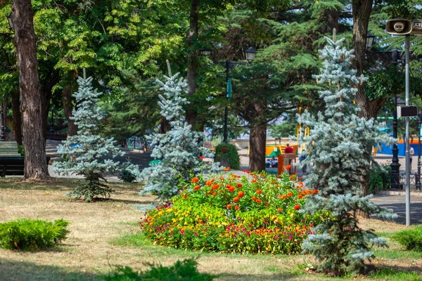Květiny a stromy v parku Mtatsminda nebo Bombora Park na Mtatsmin — Stock fotografie