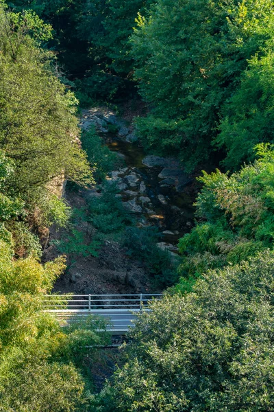 Обзор Ботанического сада в Тбилиси, Грузия . — стоковое фото