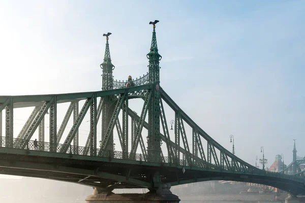 Моста свободи в Будапешті в Угорщині, він з'єднує Буда і — стокове фото