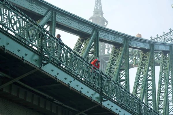 Il Ponte della Libertà a Budapest in Ungheria, collega Buda e — Foto Stock