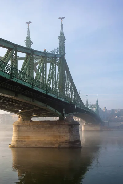 Моста свободи в Будапешті в Угорщині, він з'єднує Буда і — стокове фото