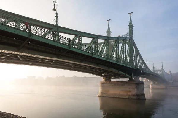 Macaristan'da Budapeşte Özgürlük Köprüsü, Buda ve bağlar 