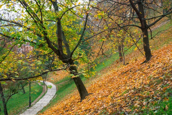 Паркова доріжка на Буда Хілл замок, Будапешт, Угорщина. Осінній. — стокове фото